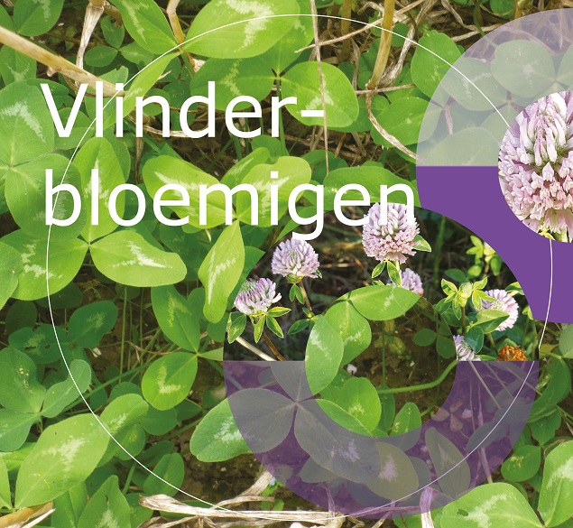 Vlinderboemigen